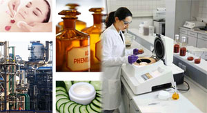 China IDL Registration Services
